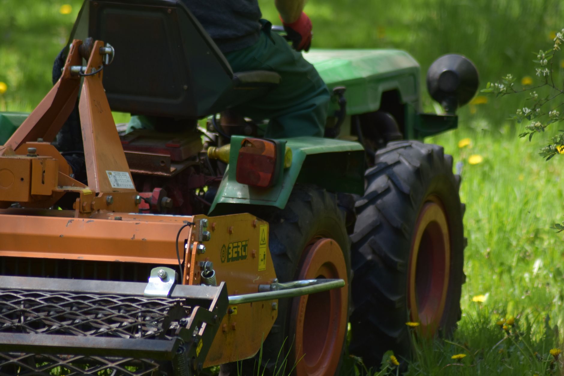 Weed Control – Live Oak